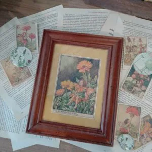 Cornice Legno Vecchio Cicely Mary Barker The Marigold Fairy Artigianato