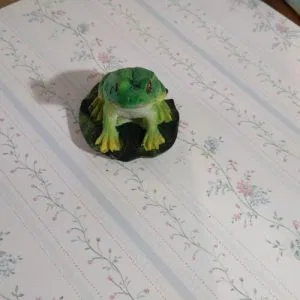 C) Ranocchio Rana Rospo Foglia Portafortuna Collezione Dipinta Mano Bomboniere