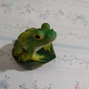D) Rana Ranocchio Rospo Foglia Portafortuna Collezione Dipinta  Bomboniere