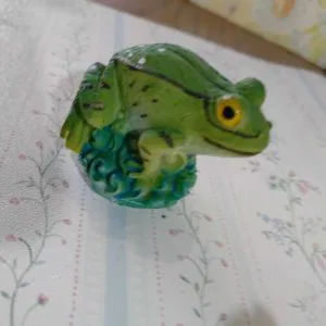 E) Rana Ranocchio Rospo Portafortuna Collezione Dipinta  Bomboniere