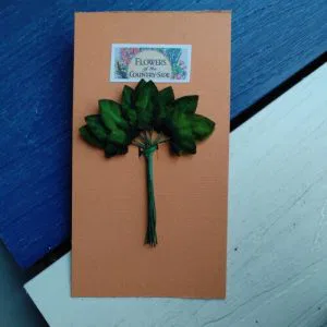 Edera Foglie (F) Decorazione Hobby Creativi Fiori Bomboniere Vintage artigianato