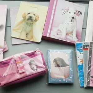 V1 RACHAELHALE stock lotto set scuola cartoleria cancelleria diario quaderni