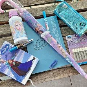 V151 FROZEN DISNEY SACCUCCIOLI LEBEZ  Lotto scuola cartoleria DIARIO IDEA REGALO