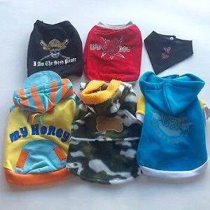 LOTTO ABBIGLIAMENTO CANI 6PZ MASCHIO VESTITO CAPPOTTO CHIHUAHUA MALTESI YORKYK