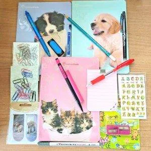 R2 RACHAEL HALE lotto scuola cartoleria cancelleria IDEA REGALO FRIXION TRATTO