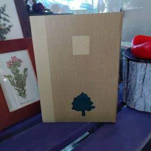 (K1) Kartos Compendium Carta Da Lettere Buste Albero Cartoncino Lucchetto Raro