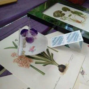 Lumen Fiore Lc3 Crystal Swarovski Vetro Murano Vintage Raro Viola