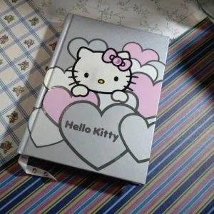 Raro Hello Kitty Sanrio Diary Diario Scolastico Stickers Da Collezione