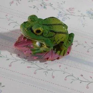 A) Rana Ranocchio Rospo Portafortuna Collezione Dipinta A Mano Bomboniere Regalo