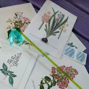 Lumen Campanella C1 Crystal Swarovski Vetro Murano Vintage Raro Aqua Verde Fiore