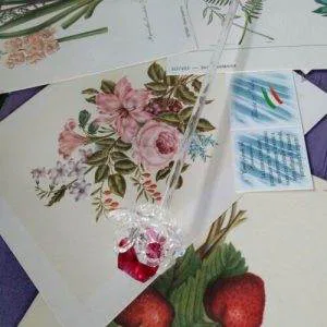 Fiore Rosa Clear Rosso Cs9 Crystal Ware Swarovski Murano Vintage Hand Made Raro