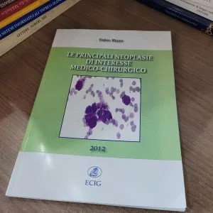 LE PRINCIPALI NEOPLASIE DI INTERESSE MEDICO CHIRURGICO 2012 FABIO RIZZO ECIG