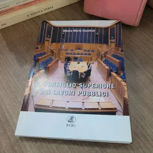 IL CONSIGLIO SUPERIORE DEI LAVORI PUBBLICI B.M.CECCHINI  LIBRO ECIG