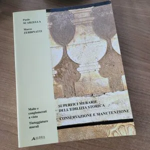 SUPERFICI MURARIE DELL'EDILIZIA STORICA CONSERVAZIONE MANUTENZIONE ALINEA EDITRI