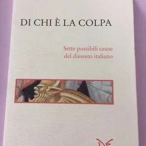 Umberto Vincenti SAGGINE DI CHI È LA COLPA SETTE POSSIBILI CAUSE DEL DISSESTO DE