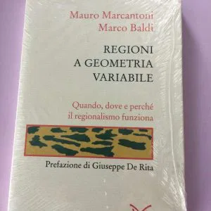 REGIONI A GEOMETRIA VARIABILE GIUSEPPE DE RITA, MAURO MARCANTONI SAGGINE LIBRO