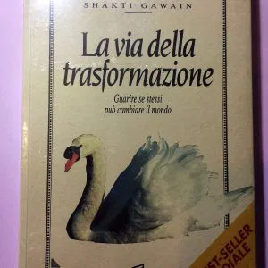 LA VIA DELLA TRASFORMAZIONE GUARIRE SE STESSI SHAKTI GAWAIN GRUPPO FUTURA NUOVO