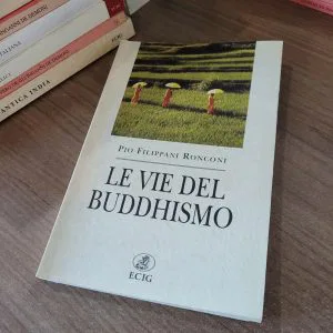 LE VIE DEL BUDDHISMO Ronconi RARO ECIG LIBRO FUORI CATALOGO MEDITAZIONE