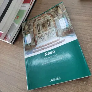 NASO GUIDA VISITA CITTA' ALINEA EDITRICE TURISTICA SICILIA ITINERARI CHIESE