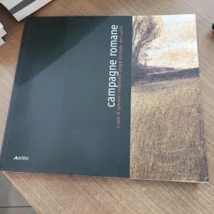 CAMPAGNE ROMANE ALINEA EDITRICE SITI E PAESAGGI Longobardi Piccinato Vieri