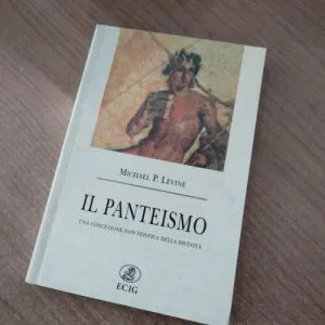 B) IL PANTEISMO MICHAEL P.LEVINE DIVINITA' BUDDISMO FILOSOFIA LIBRO RARO ECIG