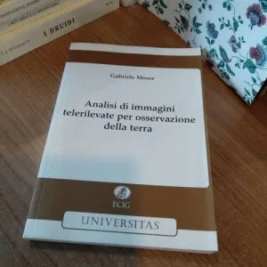 C) Analisi di immagini telerilevate per osservazione terra Gabriele Moser Ecig