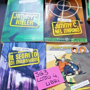 JG3 LOTTO 4 LIBRI MONDADORI JUNIOR GIALLO NUOVI HARDY BOYS YOUNG