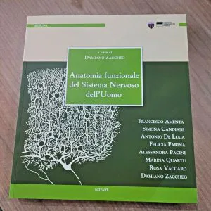 ANATOMIA FUNZIONALE DEL SISTEMA NERVOSO DELL'UOMO ZACCHEO DAMIANO MEDICINA LIBRO