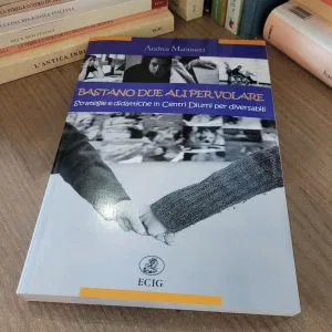 BASTANO DUE ALI PER VOLARE ANDREA MANNUCCI ECIG DIDATTICA DIVERSABILI DISABILITA