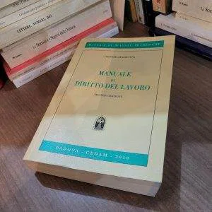 A) CEDAM manuale di diritto del lavoro 2013 seconda edizione Oronzo Mazzotta