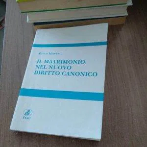 A) Il matrimonio nel nuovo diritto canonico Paolo Moneta  ECIG Fuori Catalogo