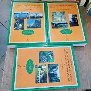 ECIG AMBIENTE CONFLITTO E SVILUPPO ISOLE BRITANNICHE EMILIO BIAGINI 3 VOL RARO