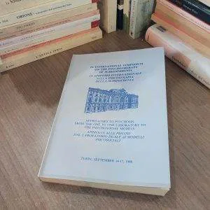 IX INTERNATIONAL SYMPOSIUM PSYCHOTHERAPY SCHIZOPHRENIA PSICOLOGIA 1988 RARO