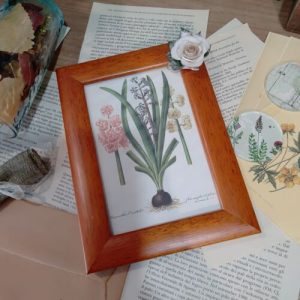 qb4) Cornice Legno Stampa Botanica Fiore In Ceramica Vintage Porta Foto Vecchio